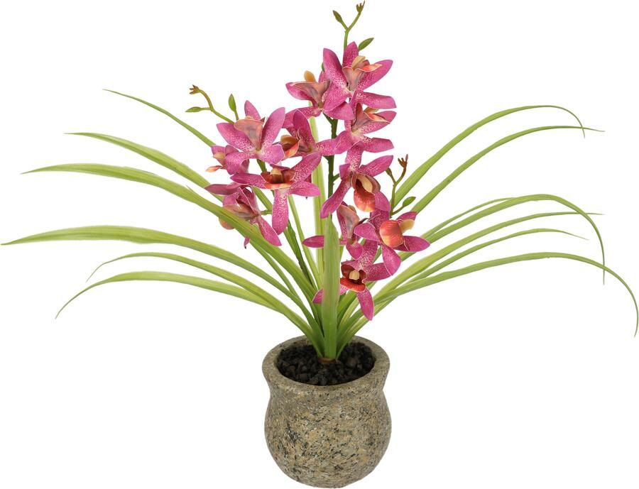 I.GE.A. Kunstbloem vlinderorchidee met keramische pot Met bladeren en luchtwortels kunstorchidee Phalaenopsis kunstplant (1 stuk) - Foto 3
