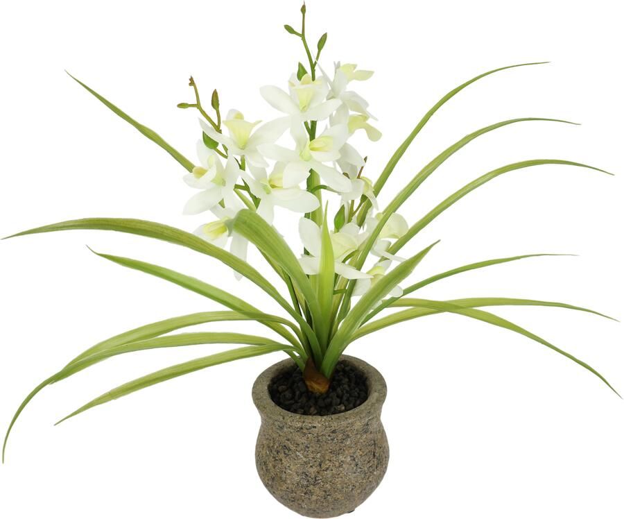 I.GE.A. Kunstbloem vlinderorchidee met keramische pot Met bladeren en luchtwortels kunstorchidee Phalaenopsis kunstplant (1 stuk) - Foto 3