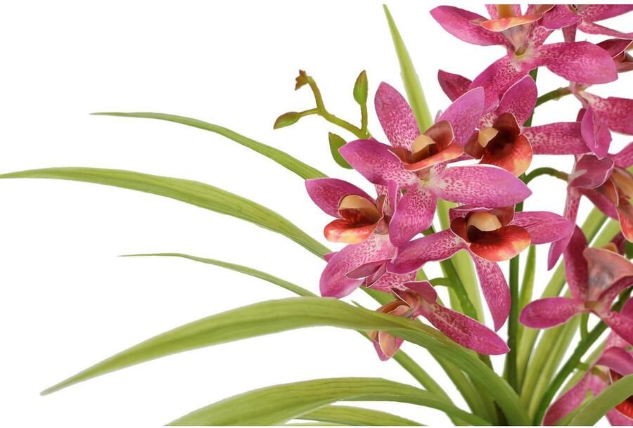 I.GE.A. Kunstbloem vlinderorchidee met keramische pot Met bladeren en luchtwortels kunstorchidee Phalaenopsis kunstplant (1 stuk) - Foto 2