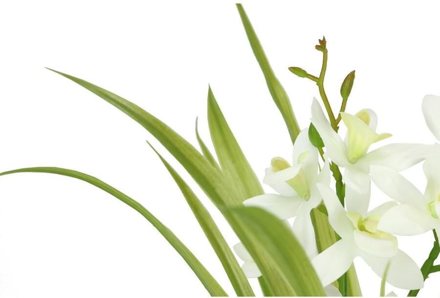 I.GE.A. Kunstbloem vlinderorchidee met keramische pot Met bladeren en luchtwortels kunstorchidee Phalaenopsis kunstplant (1 stuk) - Foto 2