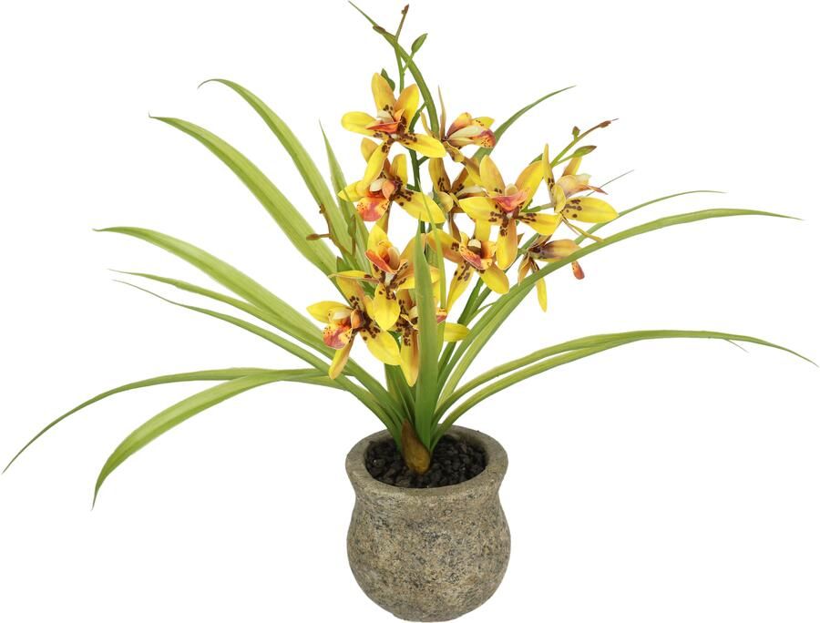 I.GE.A. Kunstbloem vlinderorchidee met keramische pot Met bladeren en luchtwortels kunstorchidee Phalaenopsis kunstplant (1 stuk) - Foto 3