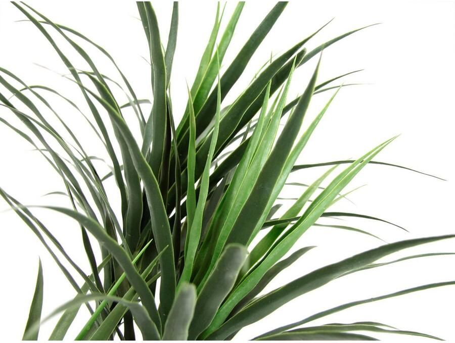 I.GE.A. Kunstboom Draakpalm in pot kunstmatig plant drakenpalm kamerplanten (1 stuk) - Foto 2