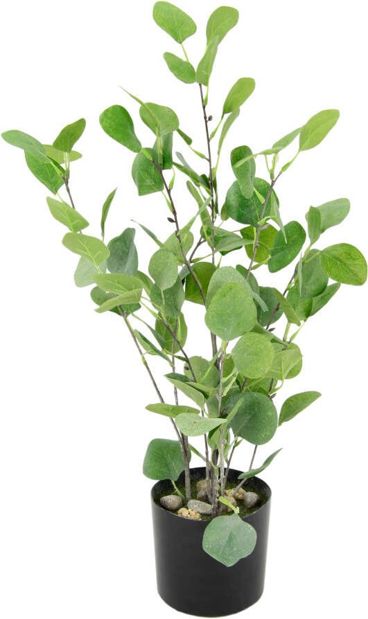 I.GE.A. Kunstboom Eukalyptus im Topf künstlich Eukalyptusbaum Pflanze Dekobaum (1 stuk) - Foto 1