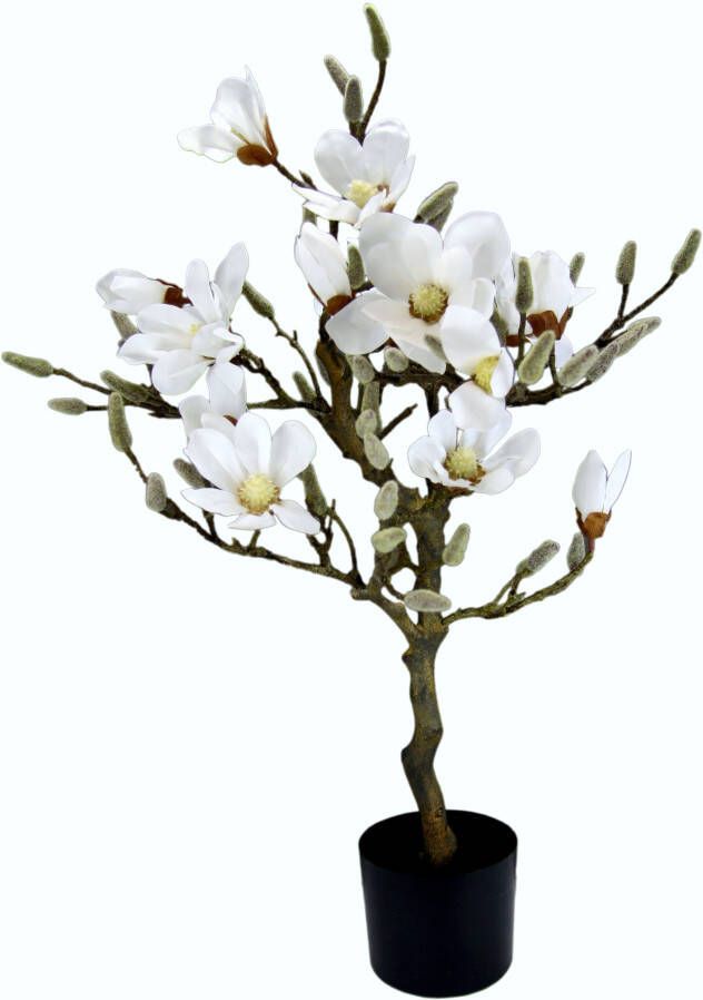 I.GE.A. Kunstboom Magnoliaboom in een plastic pot (1 stuk) - Foto 1