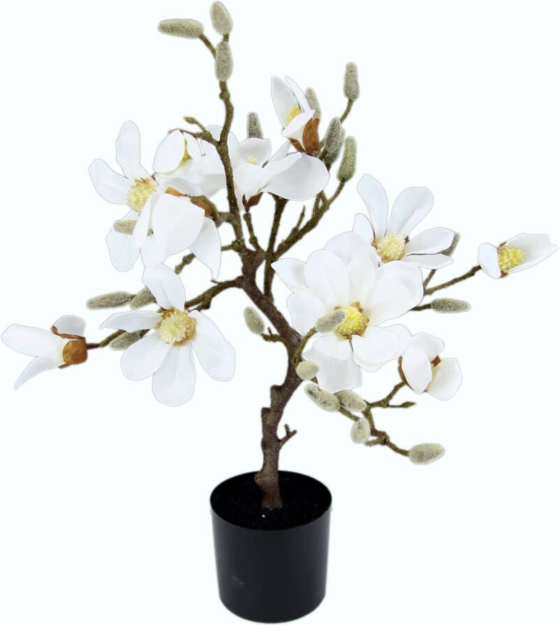 I.GE.A. Kunstboom Magnoliaboom in een plastic pot (1 stuk)