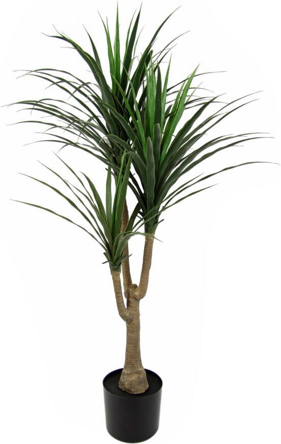 I.GE.A. Kunstboom Palme Dracena im Topf künstlich Pflanze Dracenapalme Zimmerpflanzen (1 stuk) - Foto 3