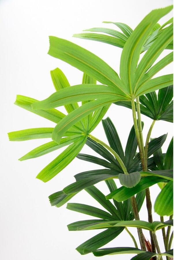 I.GE.A. Kunstboom Rhapis palm in pot kunstmatige palm excelsa stekkenpalm raphiapalme (1 stuk)
