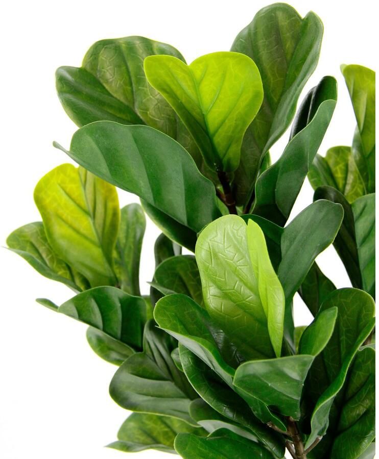I.GE.A. Kunstboom Tabaksboom in pot kunstmatig vioolblad vijgenboom vijgenbladplant Olifantenboom boom kamerplant kunstplant plant decoratieve plant (1 stuk)