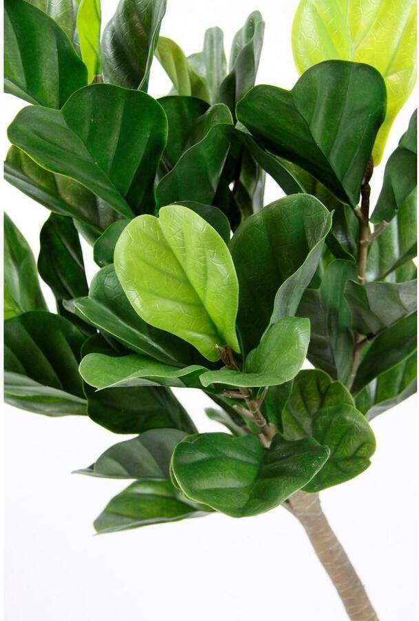 I.GE.A. Kunstboom Tabaksboom in pot kunstmatig vioolblad vijgenboom vijgenbladplant Olifantenboom boom kamerplant kunstplant plant decoratieve plant (1 stuk) - Foto 2