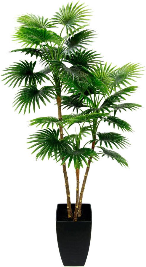 I.GE.A. Kunstboom Waaierpalm In tapse pot