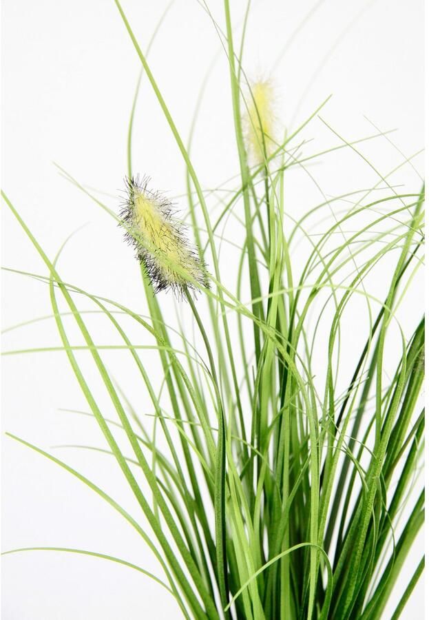 I.GE.A. Kunstgras 'Fuchsschwanz' In het takkennest 3-delige set (3 stuks) - Foto 3