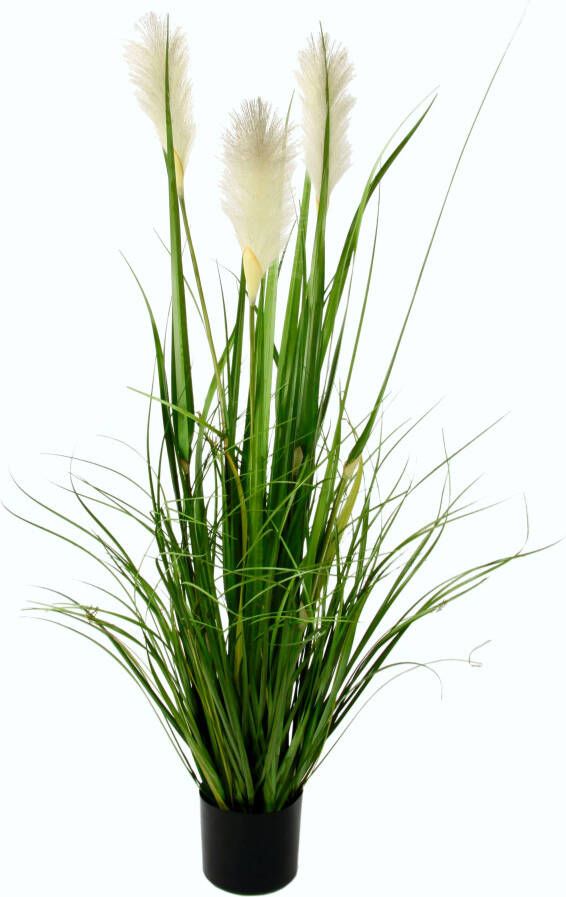 I.GE.A. Kunstgras Pampasgras in een plastic pot (1 stuk)