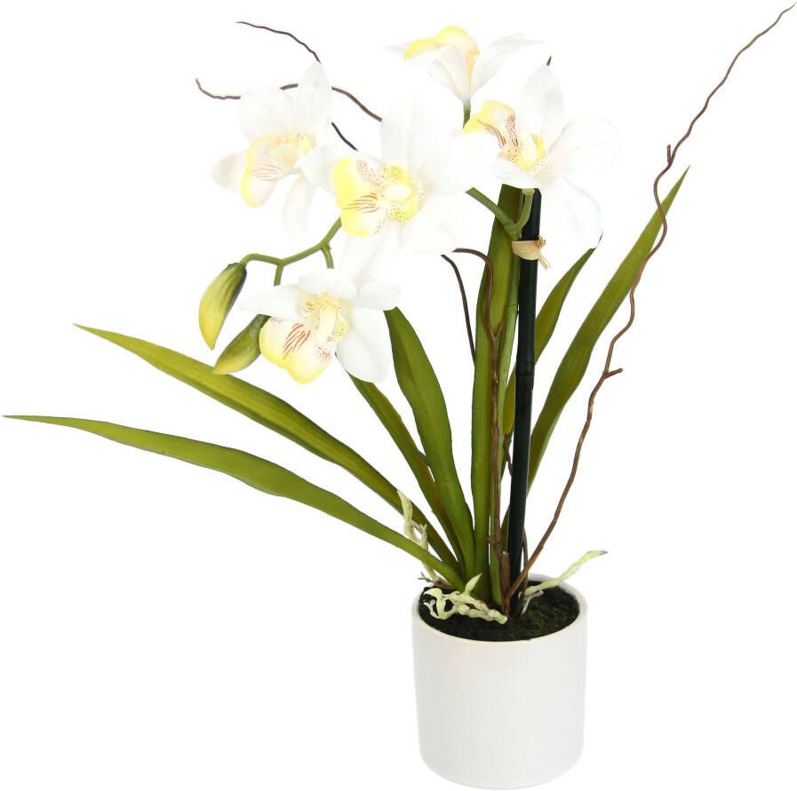 I.GE.A. Kunstorchidee Orchidee in een keramische pot (1 stuk)