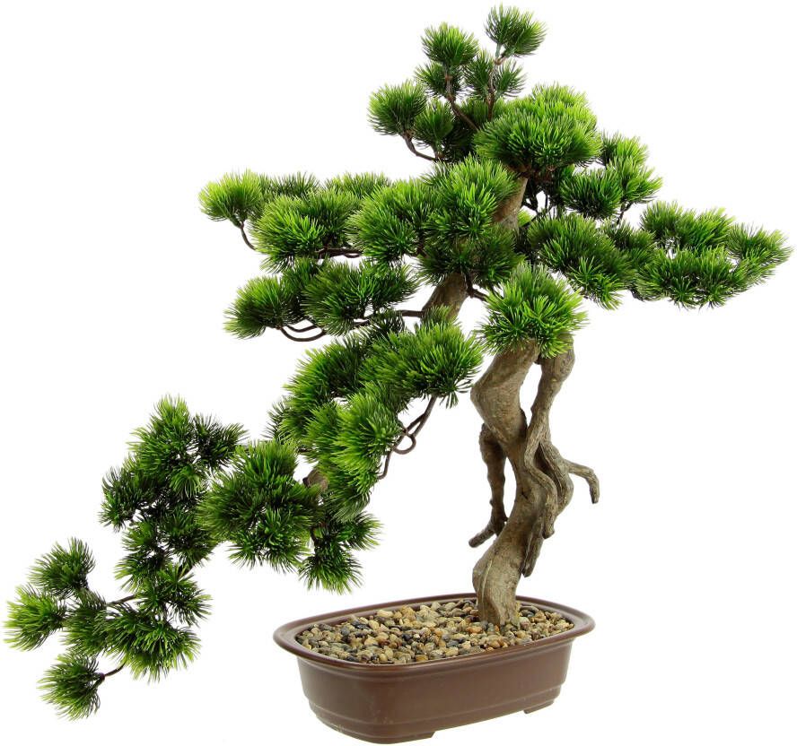 I.GE.A. Kunstplant Bonsai Baum in Schale (1 stuk) - Foto 7