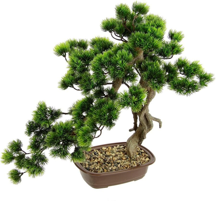 I.GE.A. Kunstplant Bonsai boom in schaal Exotische bomen Zen-tuin (1 stuk)