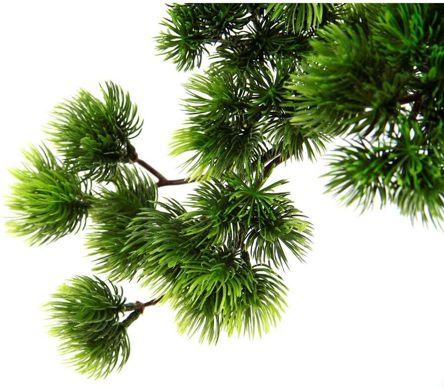 I.GE.A. Kunstplant Bonsai boom in schaal Exotische bomen Zen-tuin (1 stuk) - Foto 2