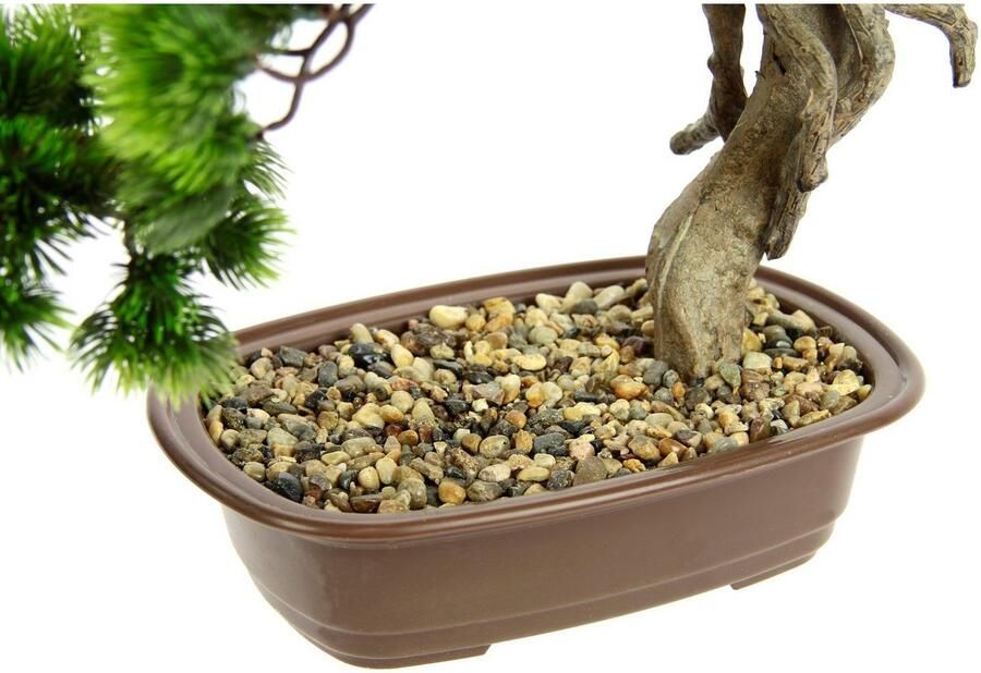 I.GE.A. Kunstplant Bonsai boom in schaal Exotische bomen Zen-tuin (1 stuk) - Foto 4