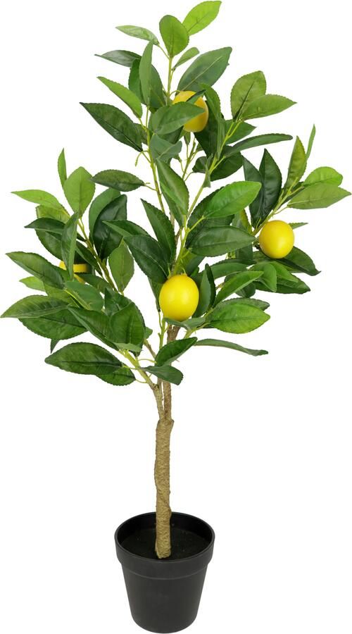 I.GE.A. Kunstplant Citroenboom in pot Kunstboom kamerplant (1 stuk) - Foto 3