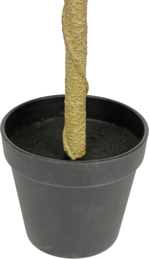 I.GE.A. Kunstplant Citroenboom in pot Kunstboom kamerplant (1 stuk) - Foto 2