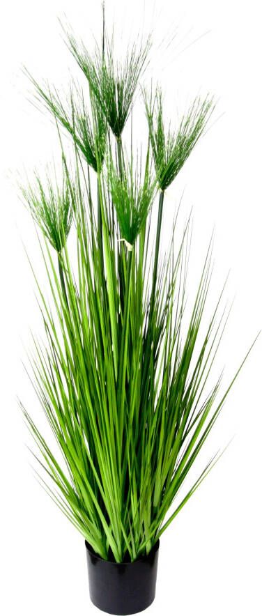 I.GE.A. Kunstplant Cypergras in pot (1 stuk) - Foto 1