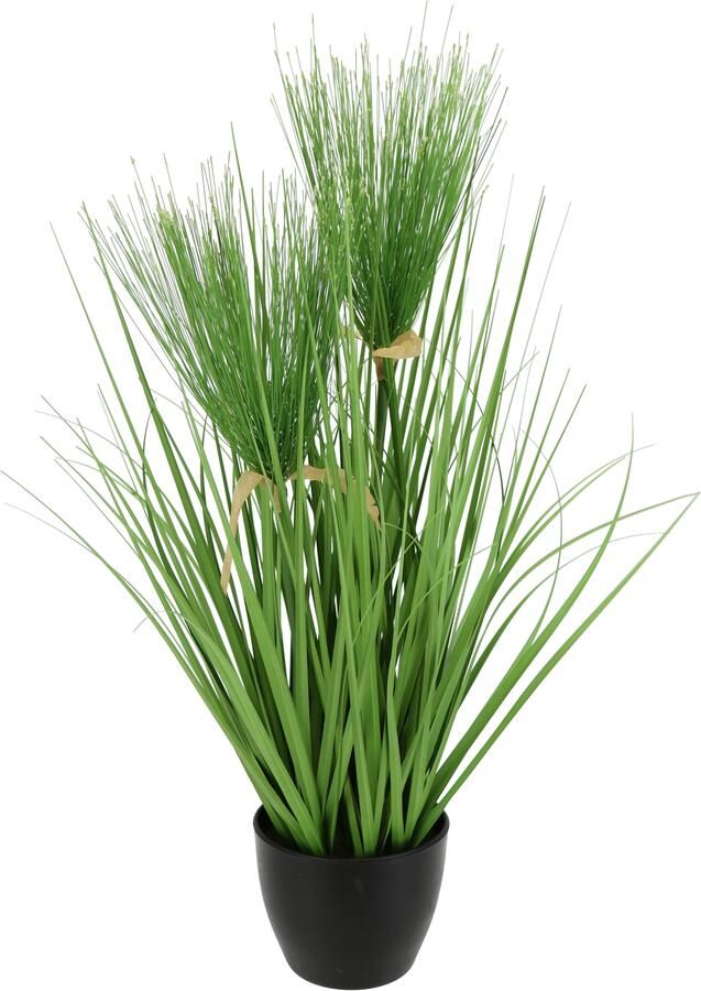 I.GE.A. Kunstplant Cypergras in pot (1 stuk) - Foto 3