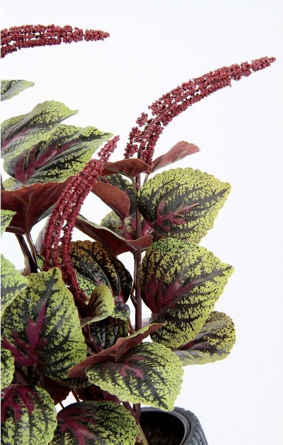 I.GE.A. Kunstplant Dwergpeper Met overpot peperomie kunstplant herfstdecoratie (2 stuks) - Foto 2
