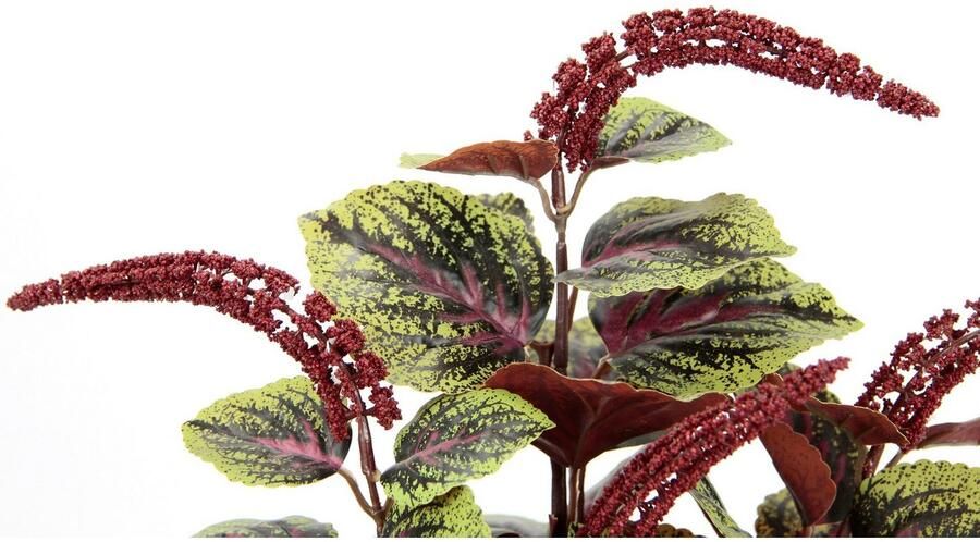 I.GE.A. Kunstplant Dwergpeper Met overpot peperomie kunstplant herfstdecoratie (2 stuks) - Foto 3