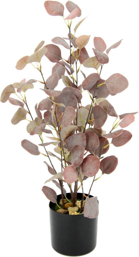 I.GE.A. Kunstplant Eucalyptus In een pot met natuursteentjes - Foto 1
