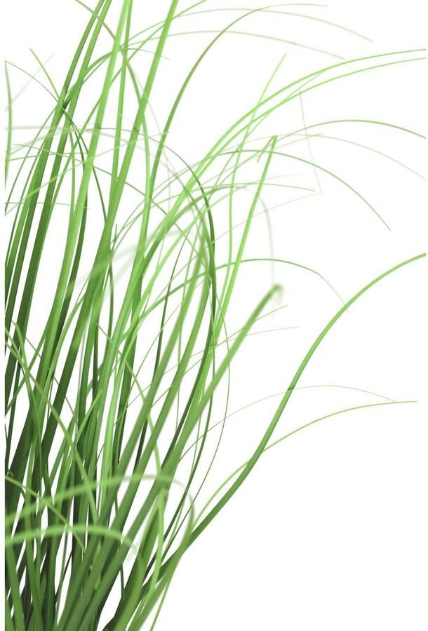 I.GE.A. Kunstplant Gras in takken Kunst-grasbundel (1 stuk) - Foto 2
