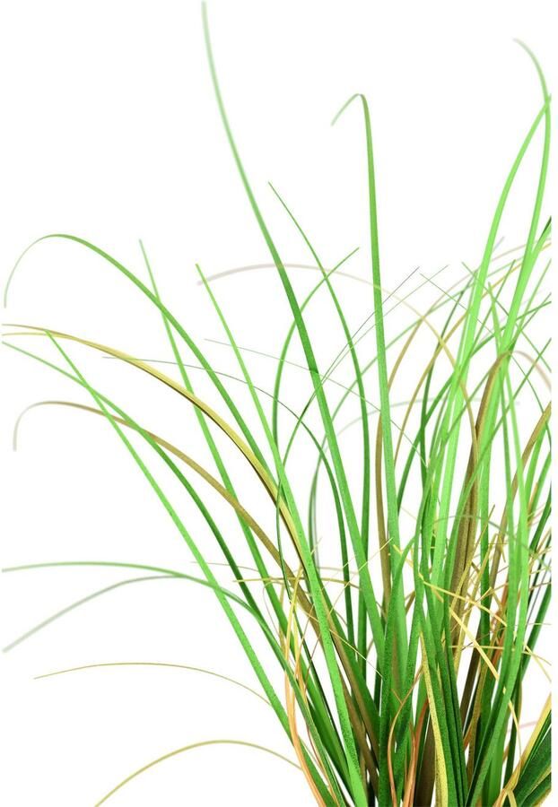 I.GE.A. Kunstplant Gras in takken Kunstmatige grasstruik 2-delige set (2 stuks) - Foto 2