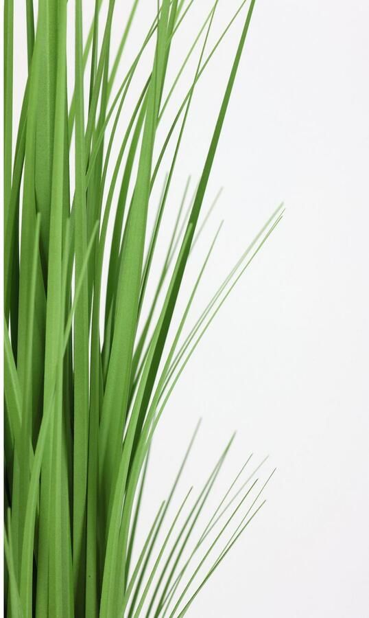 I.GE.A. Kunstplant Grasmix (1 stuk) - Foto 2