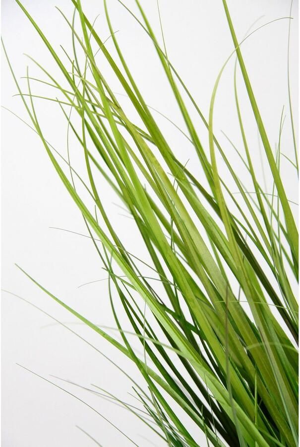 Flair Flower Kunstgras Struik in Pot Kunstplant Decoratief Gras Kunstgras Plant Siergras Graspluim Struik Decoratie Grassen Lente Bank Gras Riet Bruiloft Decoratie Decoratieve Plant Groen 43x20x20cm - Foto 2