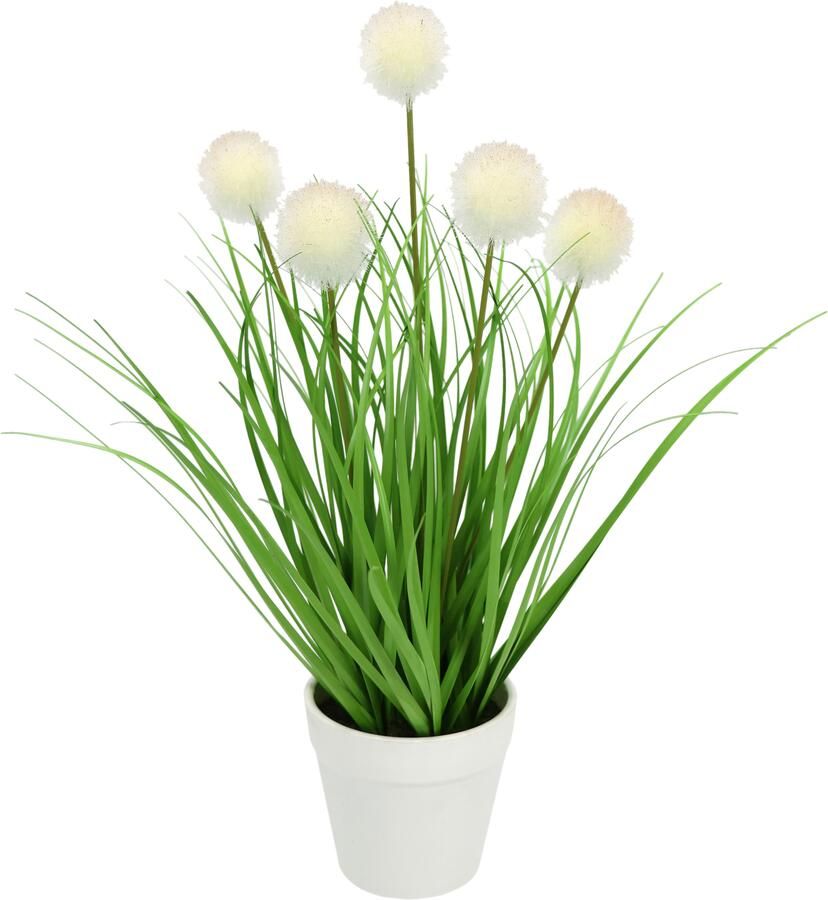 I.GE.A. Kunstplant Knoopgras in pot (1 stuk) - Foto 2