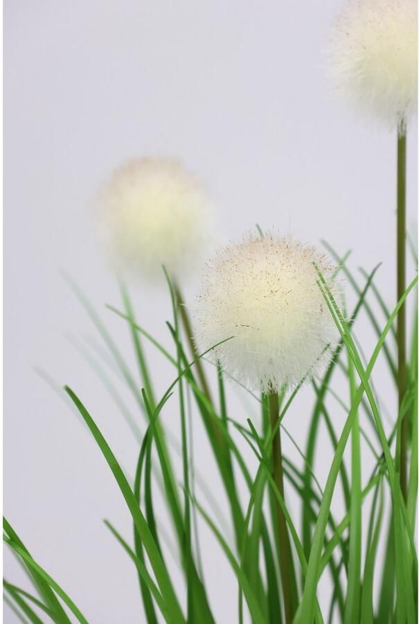 I.GE.A. Kunstplant Knoopgras in pot (1 stuk)