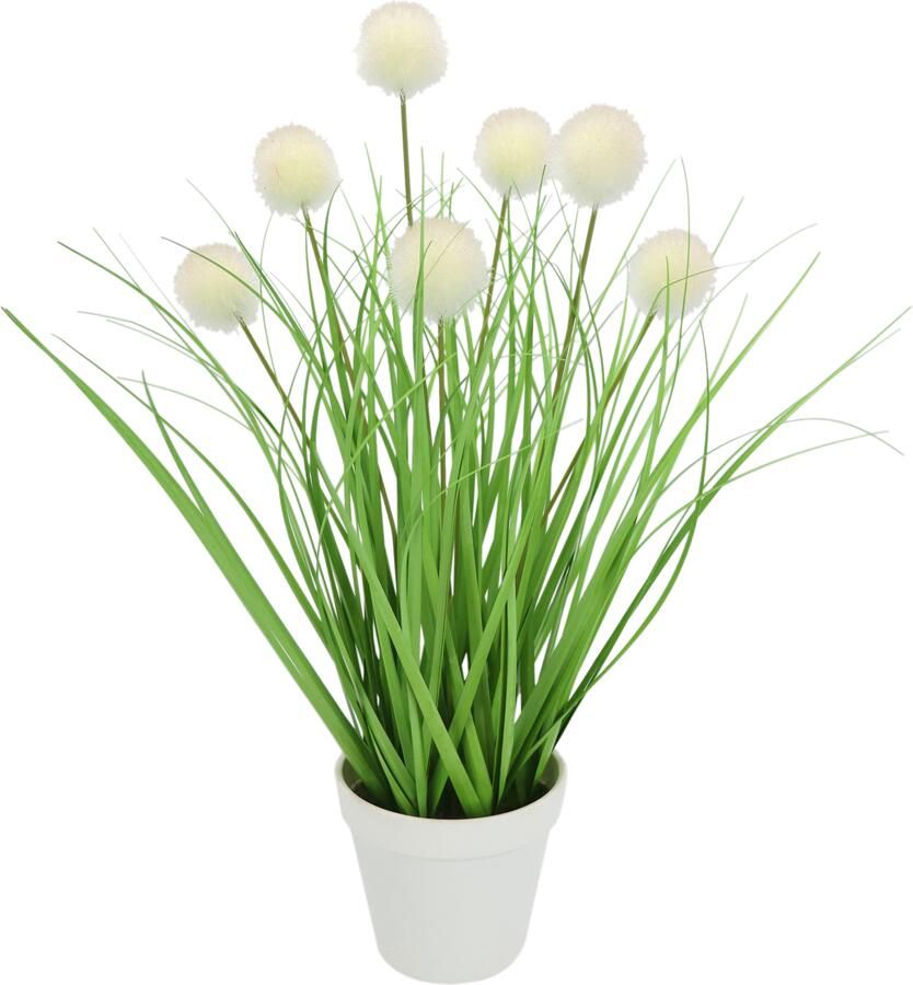 I.GE.A. Kunstplant Knoopgras in pot (1 stuk) - Foto 2