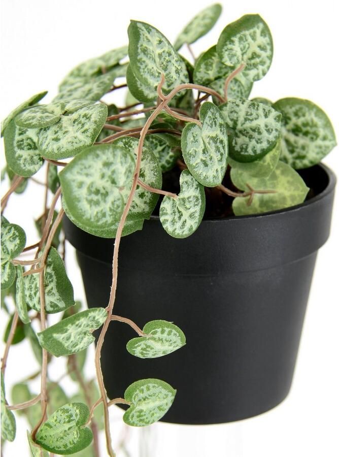 I.GE.A. Kunstplant kroonluchter bloem hangende planten kunstmatig Hangende struik rank guirlande bloemenampel decoratie groene plant kunstbloemen (1 stuk) - Foto 2