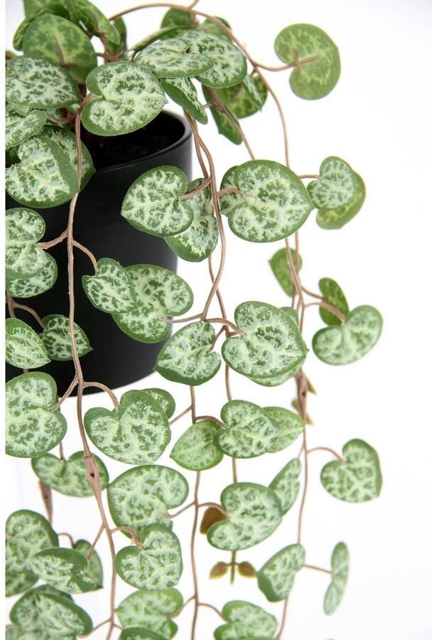 I.GE.A. Kunstplant kroonluchter bloem hangende planten kunstmatig Hangende struik rank guirlande bloemenampel decoratie groene plant kunstbloemen (1 stuk) - Foto 3