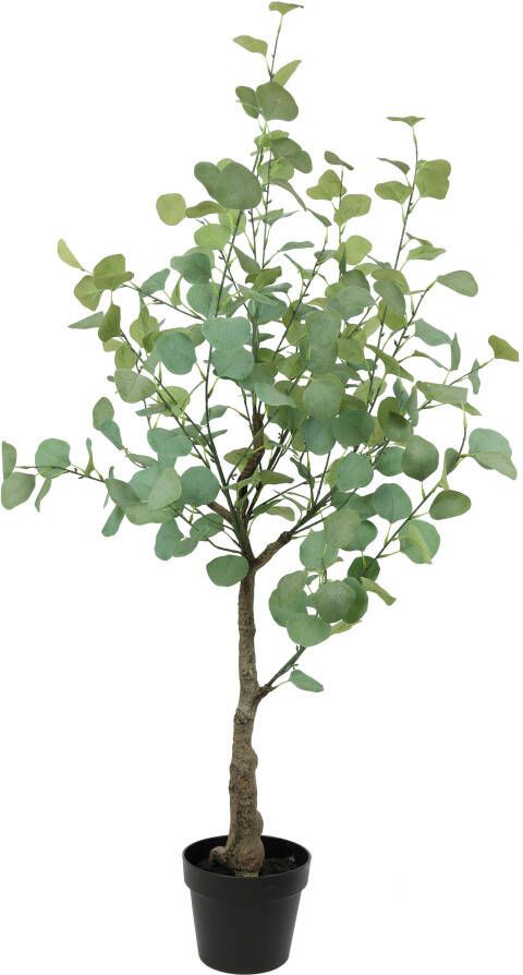 I.GE.A. Kunstplant Kunstbaum Eukalyptus im Topf Pflanze Deko Strauch Busch (1 stuk) - Foto 4