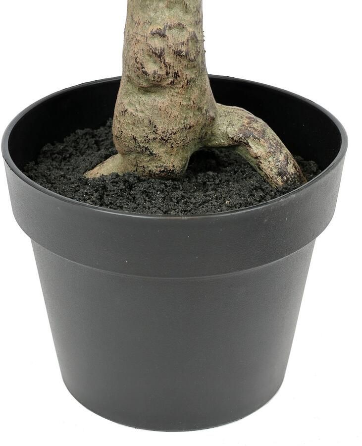 I.GE.A. Kunstplant Kunstboom eucalyptus in pot plant decoratie struik Kunstbloem kunst groene planten zilverkleur dollar bladeren (1 stuk) - Foto 2