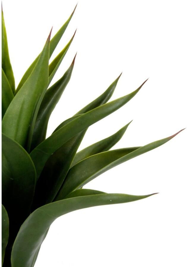 I.GE.A. Kunstplant Kunstmatige Agave in pot plant Aloë Vera Sansevieria (1 stuk) - Foto 3