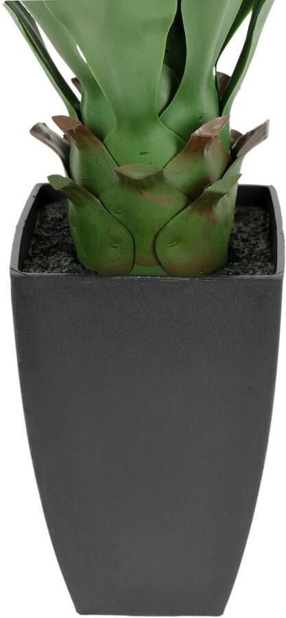 I.GE.A. Kunstplant Kunstmatige Agave in pot plant Aloë Vera Sansevieria (1 stuk) - Foto 4