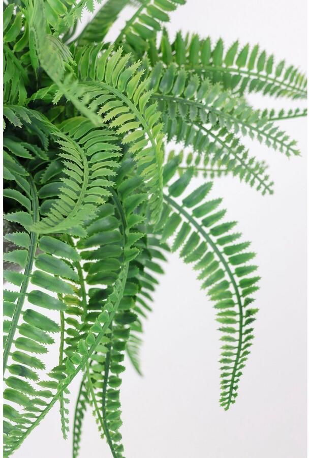 I.GE.A. Kunstplant Kunstmatige bosvaren in de pot varen KUNSTVAREN varen bosplant (1 stuk)