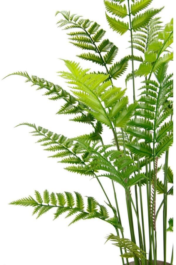 I.GE.A. Kunstplant Kunstmatige bosvaren in de pot varen KUNSTVAREN varen bosplant (1 stuk) - Foto 3