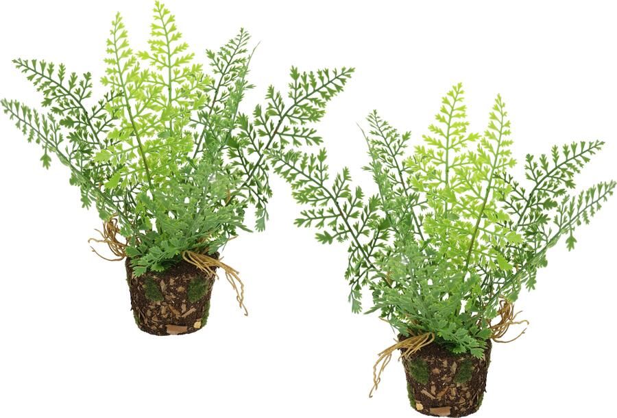 I.GE.A. Kunstplant Kunstmatige bosvaren in pot 2-delige set varenstruiken plant decoratie groenplant bosplant kamerplant