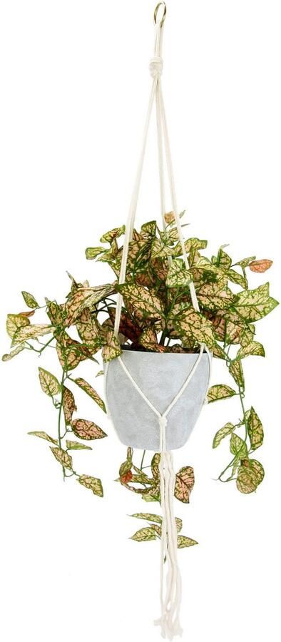 I.GE.A. Kunstplant Kunstmatige fittonia hangmand met pot kunstplant (1 stuk) - Foto 2