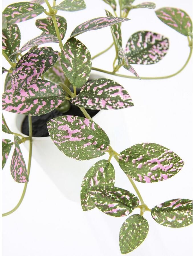 I.GE.A. Kunstplant Kunstmatige kamerplant mini aucuba in pot plant Zijdebloemen hangplanten klimmende bladplant hangende groenplanten (2 stuks) - Foto 2