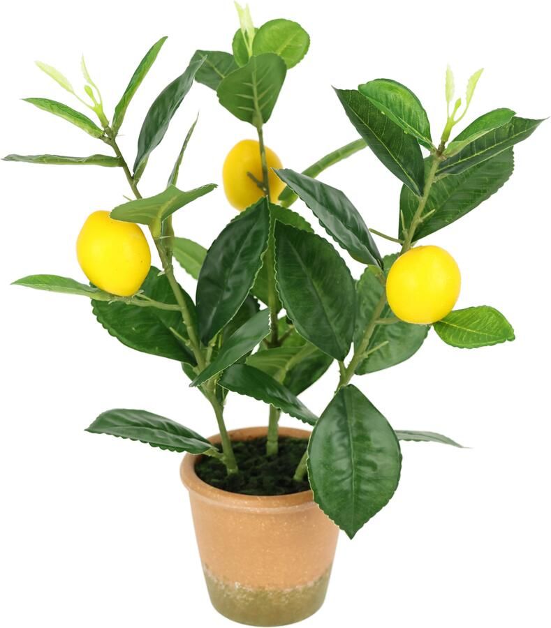 I.GE.A. Kunstplant Kunstmatige mini-citroenboom Levensechte kunstboom boom decoratie fruitboom plant (1 stuk) - Foto 4