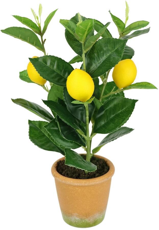 I.GE.A. Kunstplant Kunstmatige mini-citroenboom Levensechte kunstboom boom decoratie fruitboom plant (1 stuk) - Foto 2