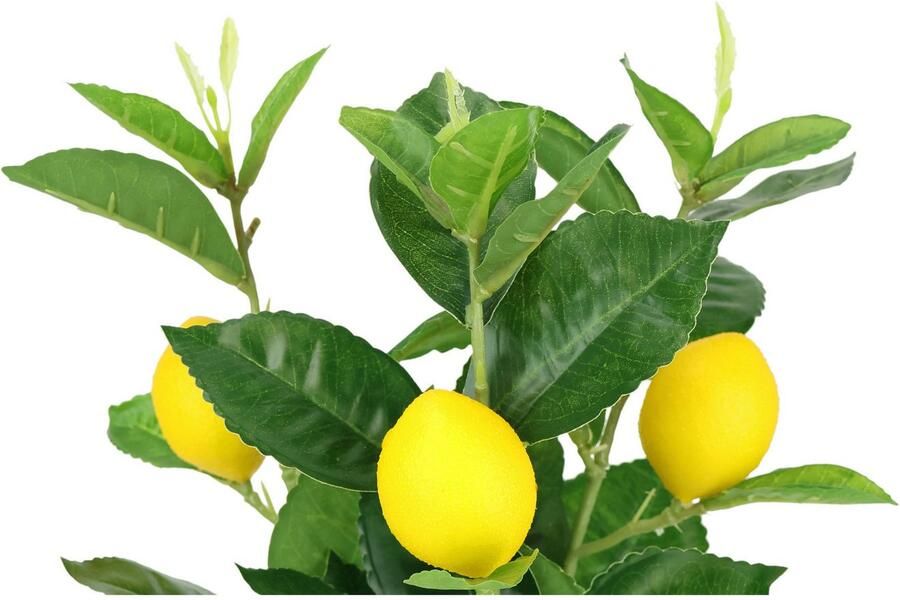 I.GE.A. Kunstplant Kunstmatige mini-citroenboom Levensechte kunstboom boom decoratie fruitboom plant (1 stuk) - Foto 3