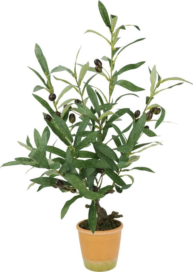 I.GE.A. Kunstplant Kunstmatige olijfboom met zwarte vruchten Olijf mediterrane olijfboom groenplant kunstboom decoratieboom (1 stuk) - Foto 5